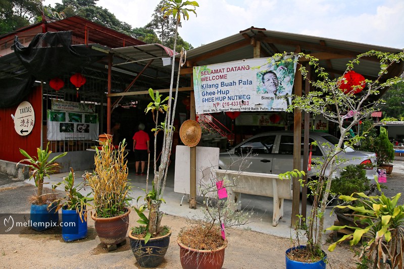 IMG_4152_mellempix.PEN