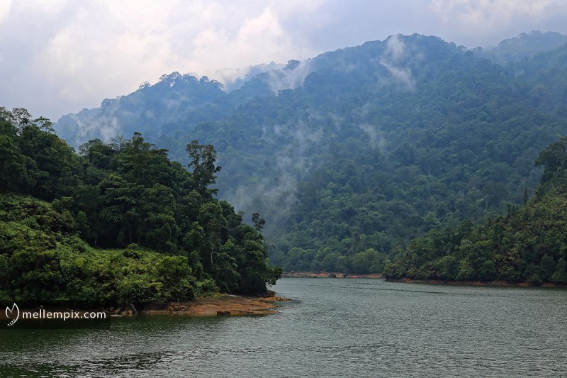 IMG_4231_mellempix.PEN