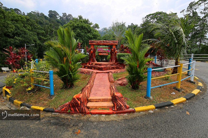 IMG_4236_mellempix.PEN