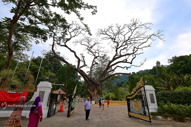 IMG_4260_mellempix.PEN