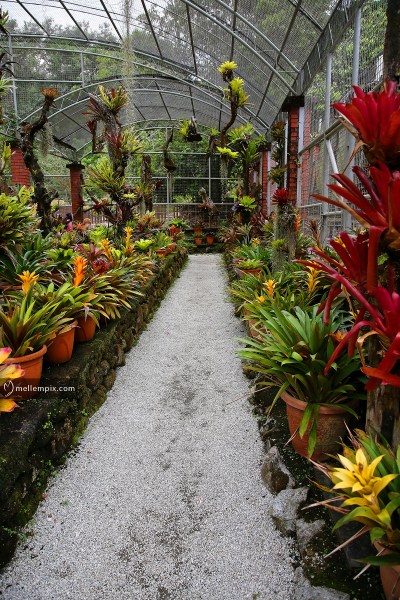 IMG_4276_mellempix.PEN