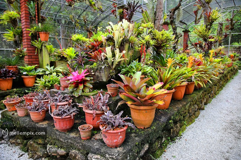 IMG_4278_mellempix.PEN